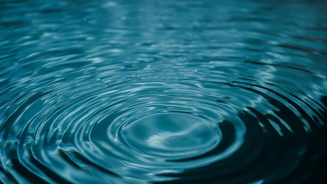 The Ripple Effect of Generosity: How Board Member Volunteerism Propels Nonprofits into the Future