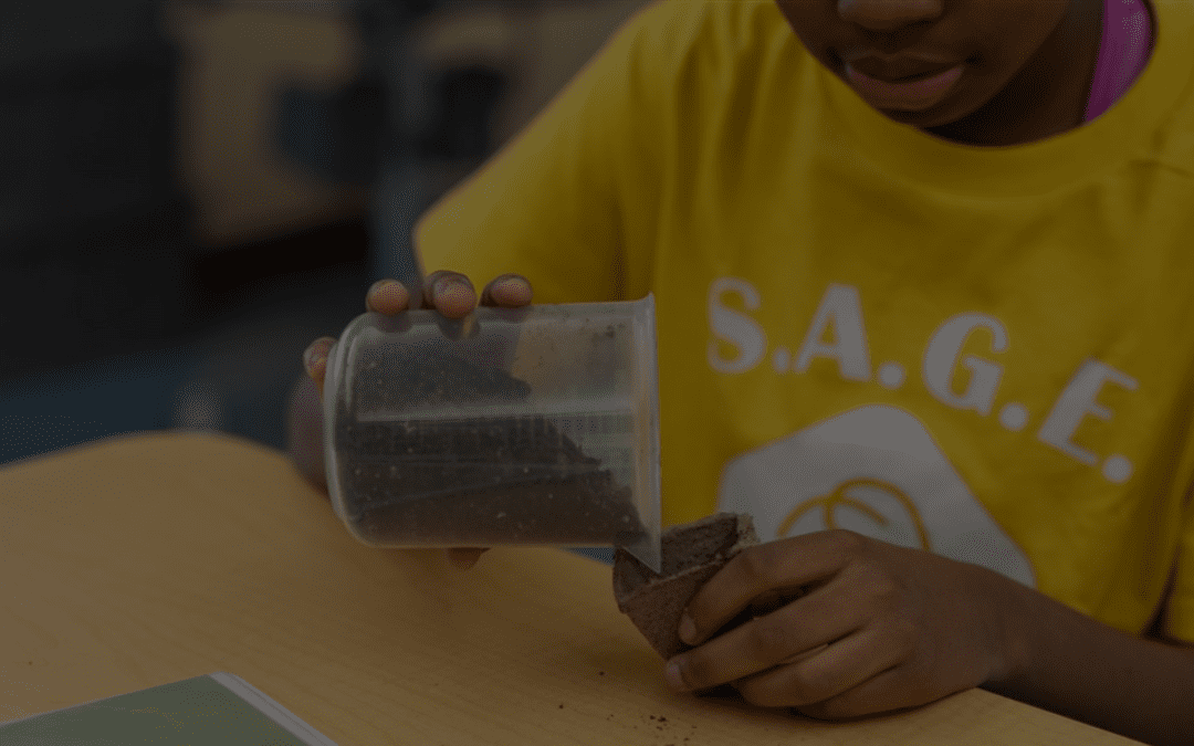 Imperative for Change: Integrating Environmental Science in Education